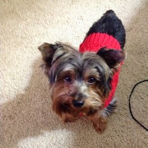 Meet your Posher, Patsy